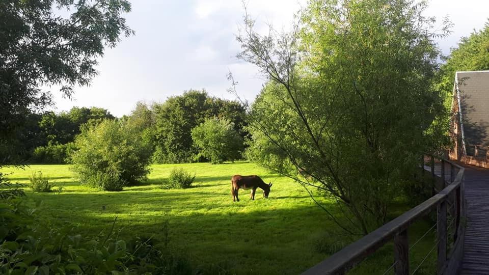 La Petite Motte Ceton Exterior foto